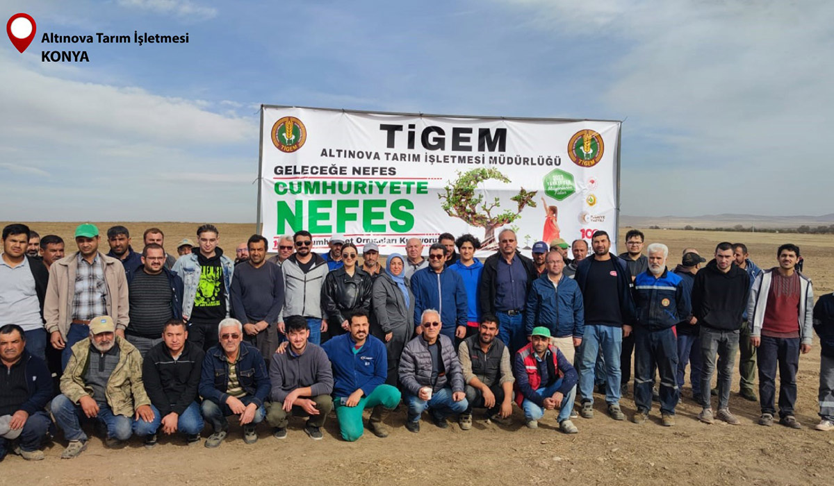 Milli Ağaçlandırma Günü’nde TİGEM İşletmelerinde 35 Bin Fidan Dikildi