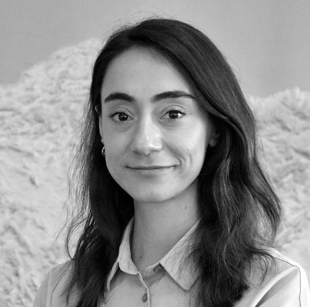 ENERJİ GÜVENLİĞİNİ ARTIRMAK ÇEŞİTLİLİĞİ ARTIRMAKTIR